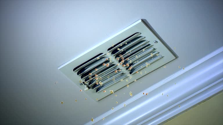 Best Air Duct Mold Removal  in Nash, TX
