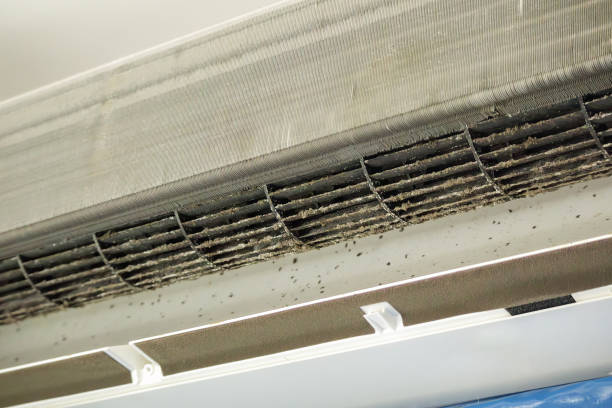 Best Home Air Vent Cleaning  in Nash, TX
