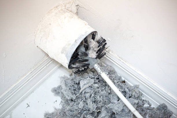 Best Professional Duct Cleaning Services  in Nash, TX